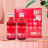 【东北特产】东北伊春特产果汁248ml 480ml  蓝莓 树莓 山梨汁 酸甜可口 夏季清爽饮品 商品缩略图2