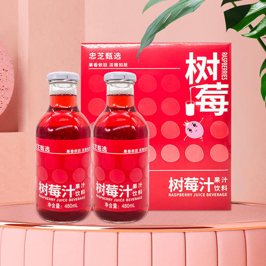 【东北特产】东北伊春特产果汁248ml 480ml  蓝莓 树莓 山梨汁 酸甜可口 夏季清爽饮品 商品图2