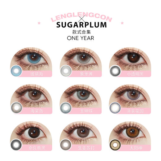 「 SUGARPLUM 」年抛 款式合集② /2片装 商品图1