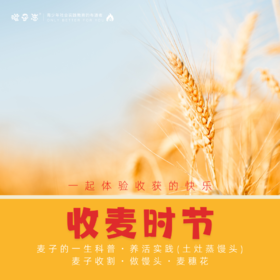 孩子志 | 收麦时节【会员特价】常熟营地  6/1(儿童节)、6/2(周日)、6/8(周六)  了解麦子的一生，割麦子、做馒头、养活教育，做一束麦穗花束送给家人…
