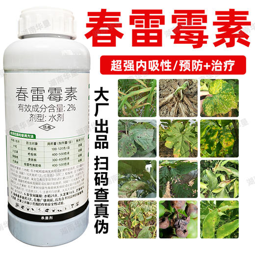春雷霉素正品正牌果树溃疡病角斑疮痂病水稻稻瘟病专用强力杀菌剂 商品图1