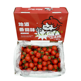 甄选 | 诺小姐小番茄 自然成熟 绿色无农药3斤装