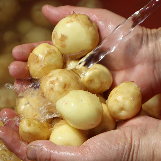 【湖北好物】恩施小土豆  4.5-5斤装 商品图4