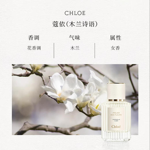 仙气飘飘！Chole蔻依仙境花园系列北国雪松/木兰诗语/烟雨茉莉女士香水50ml/150ml清新女士香氛 送香水礼品袋【CDF】 商品图3