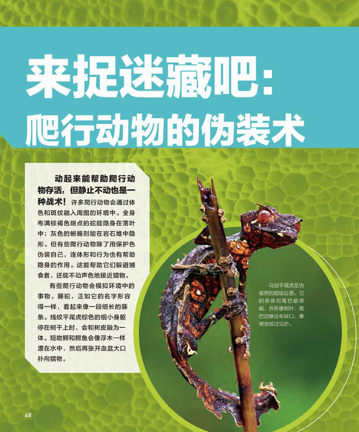 “美国国家地理科普大百科”系列（共4册）：《神秘的太空》《不可思议的动物与仿生》《奇妙的海洋》《酷酷的爬行动物》 商品图8