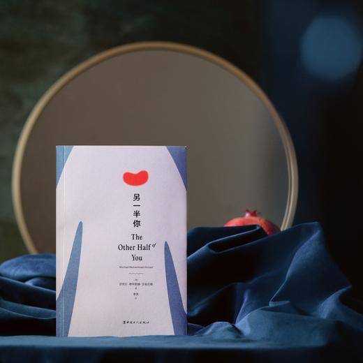 另一半你 2022年昆士兰州小说奖，2022年迈克尔•富兰克林文学奖短名单·尺寸 商品图0