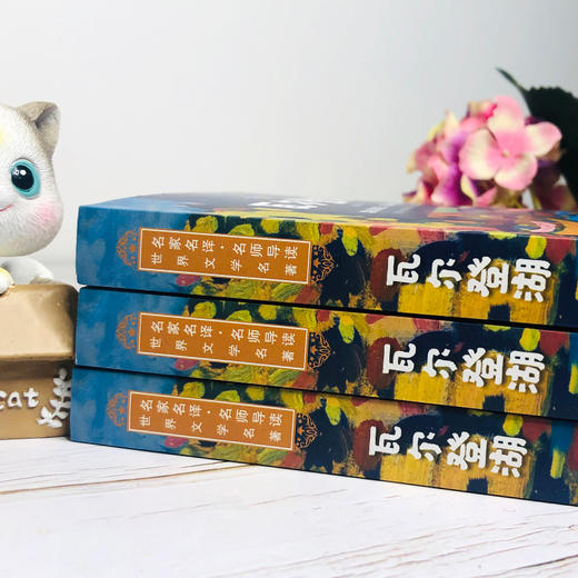 名师导读，世界文学名著：瓦尔登湖 商品图2