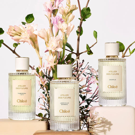 仙气飘飘！Chole蔻依仙境花园系列北国雪松/木兰诗语/烟雨茉莉女士香水50ml/150ml清新女士香氛 送香水礼品袋【CDF】 商品图0
