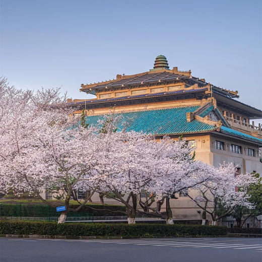 珞珈学宫丨湖北·武汉大学半日讲解【大咖说®】 商品图3