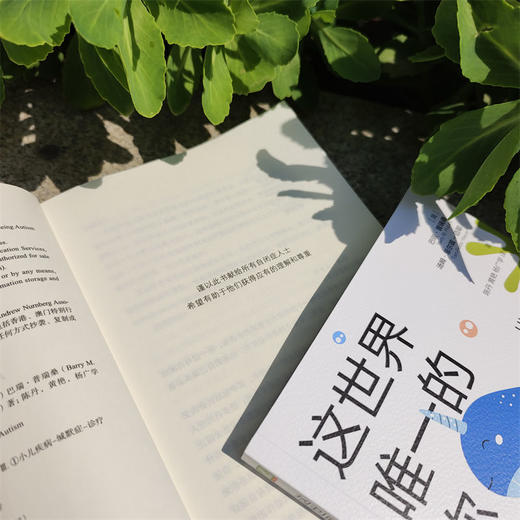 这世界唯一的你：自闭症人士独特行为背后的真相      （美）巴瑞·普瑞桑(（美）巴瑞·普瑞桑（美）汤姆·菲尔兹-迈耶) 商品图2