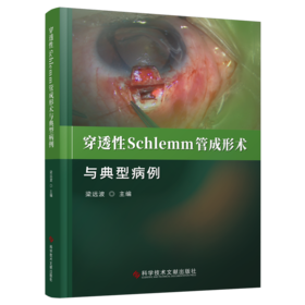 正版现货 穿透性Schlemm管成形术与典型病例 梁远波主编