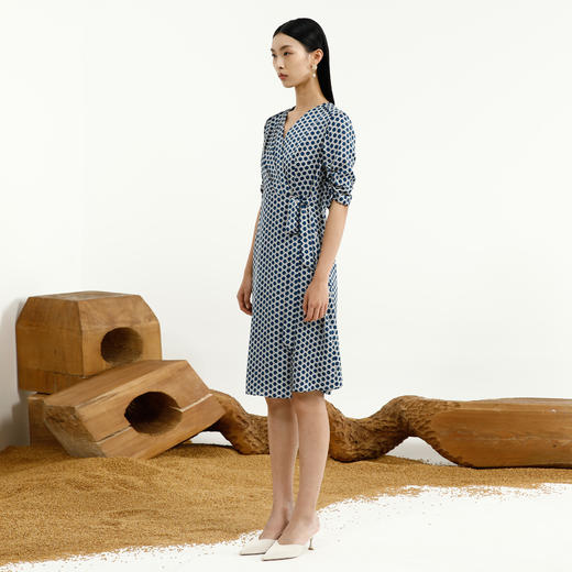 戴布拉芬连衣裙L27B547 商品图1