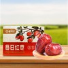 晋特好特级骏枣2500g 红枣交城骏枣山西特产枣 商品缩略图5