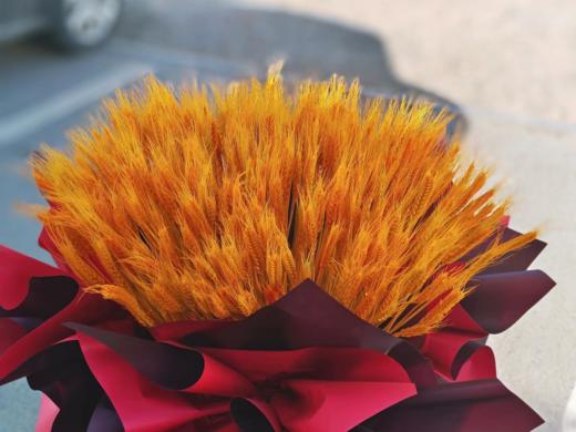 开业大麦一对 商品图4