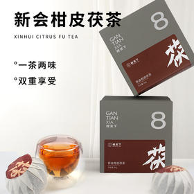 柑天下新会柑皮茯茶正宗新会柑金花黑茶茯茶独立包装