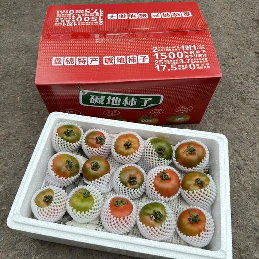 盘锦碱地西红柿 商品图4