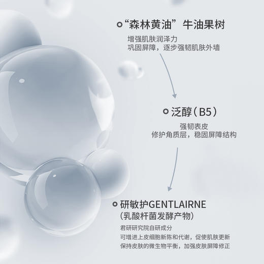 艾米莉乳木果舒润保湿乳 商品图2