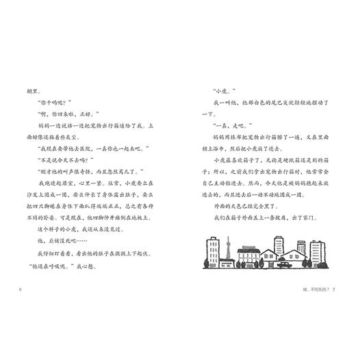 我家小虎的故事 商品图2