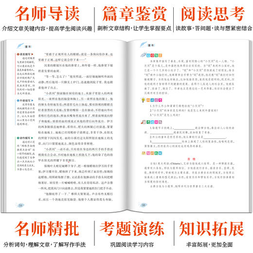 小英雄雨来 商品图4