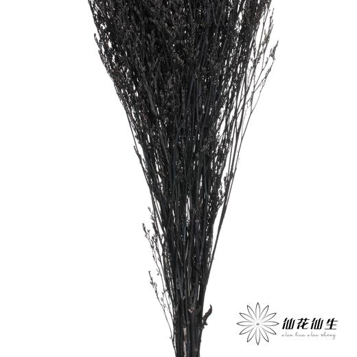 永生花材 | 情人草黑 商品图2