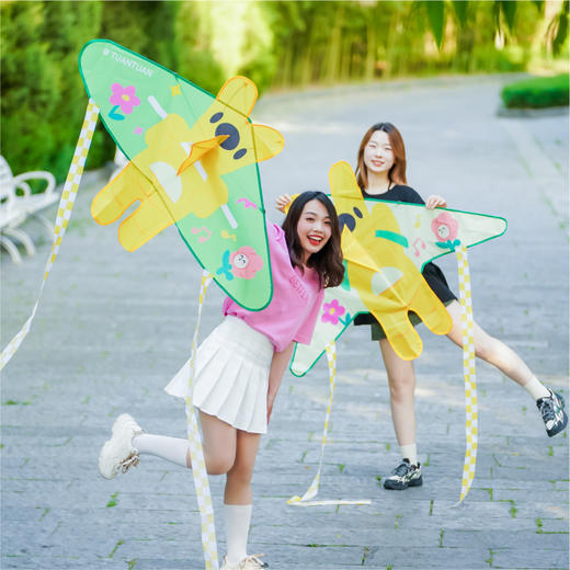 飞行团团风筝 商品图3