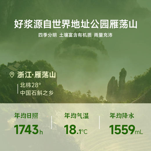 热卖！【每单送2袋试喝】用本 铁皮石斛原浆饮 清醇入口 30ml/袋  7袋/盒 商品图2