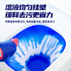水卫士洁厕灵500g  商品缩略图2