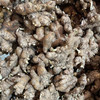 云南【小黄姜】姜味浓郁，香辣味美，肉质紧实，姜丝紧密，高原种植，自然成熟！ 商品缩略图7