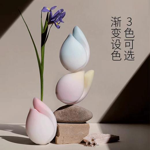 安太医悦己分体式组合震动棒情趣玩具 商品图1