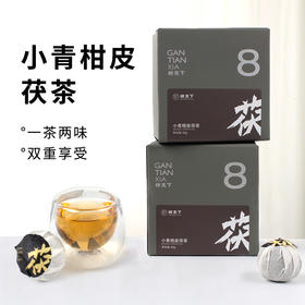 柑天下小青柑皮茯茶新会小青柑金花黑茶茯茶独立包装
