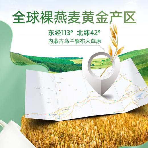 阴山优麦有机纯燕麦片 875g/袋 商品图3