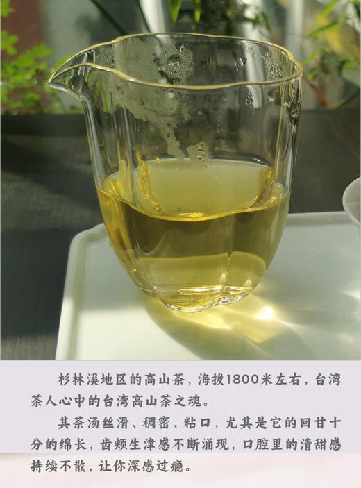 台湾 杉林溪高冷乌龙茶 75克 清香 1800米左右 手工碳焙 商品图3
