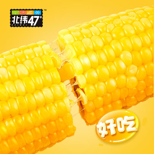 【撕开即食 香甜可口】北纬47° 玉米 黄糯玉米 白甜糯玉米 黑珍珠甜糯玉米 花甜糯玉米 水果玉米粒 商品图1