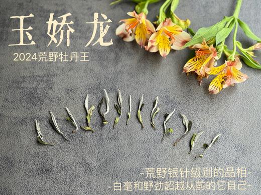 【2024春茶来了】2024荒野牡丹王如浆似汤，比往年更野、白毫更多、香气更馥郁，天生的有机茶！ 商品图3