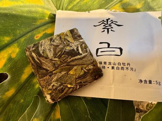 素白 高货饼干茶 5克/片 10片起拍 商品图3
