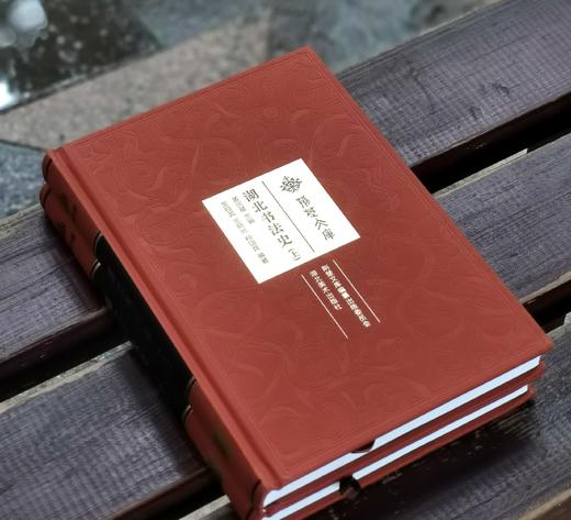 《湖北书法史》，布面精装，16开，全2册，孟庆星著，湖北美术出版社2021年一版一印，604页，定价360，售价：96元。 商品图1