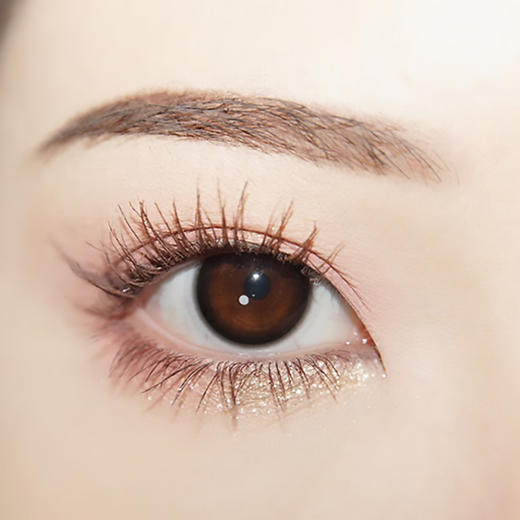 Cherrybee日抛 |  京町黑丸 14.0mm白狮参考着色中小直径  日抛2片试戴装 商品图2