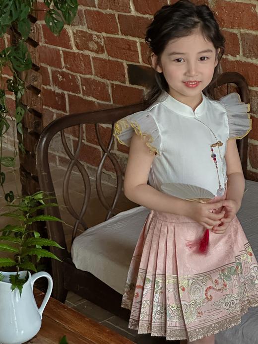 【非质量问题不退换】中式小飞袖上衣 中式泡泡袖上衣 墨白马面裙 粉锦半裙 粉锦长裙 商品图1