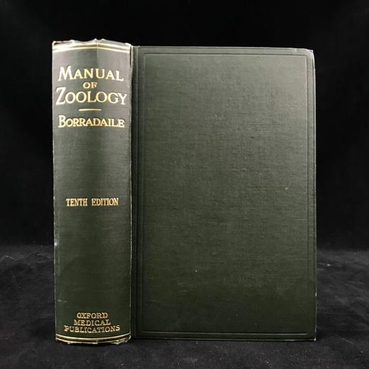 1941年 基本动物学手册 519幅插图 漆布精装32开 商品图0