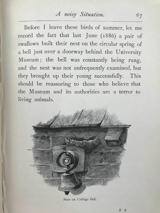 1891年 与鸟类在一起的一年 21幅版画插图 漆布精装32开 商品图9