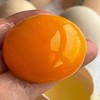 【严选】恩施黄四姐可生食富硒鸡蛋30枚装（厂家直发） 商品缩略图3
