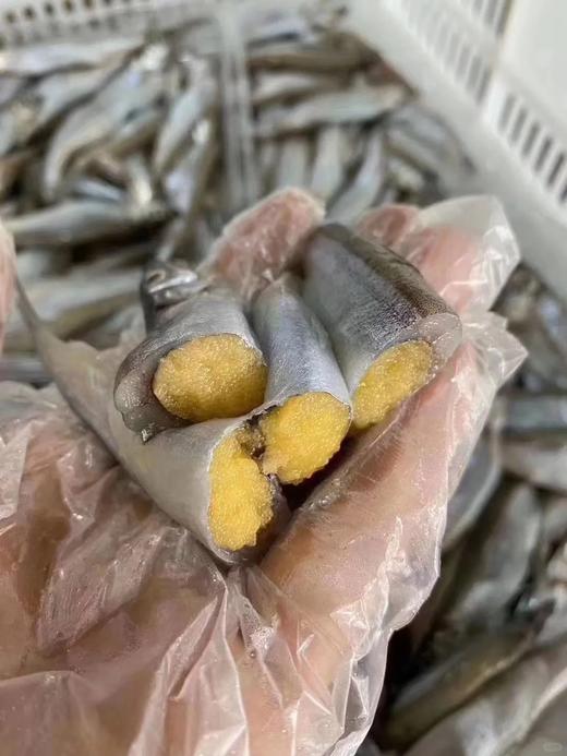 当季热卖的多春鱼，油炸，椒盐 ，烧烤 ，营养物质高，一口酥脆，满口鱼籽香👏🏻【新鲜活冻】 商品图4