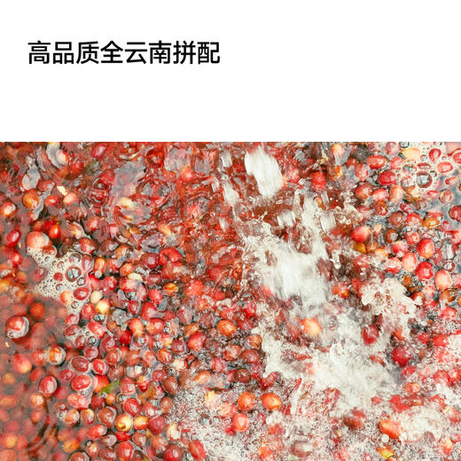 fishtank鱼缸咖啡 经典深烘意式拼配 luckyshot 幸运一发 3.0 商品图2