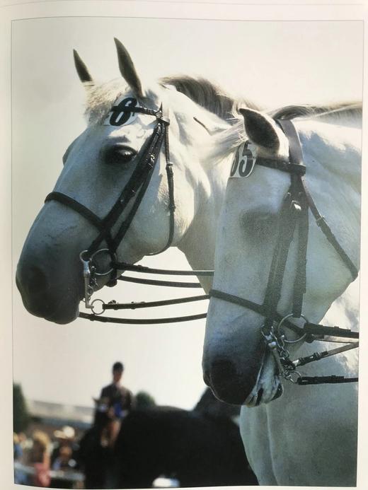 骏马百科全书 400余幅插图 精装16开 商品图13