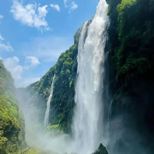 边玩边养老丨漫游黔西南，罗平万亩油菜花绚烂，奇秀万峰林，毕节百里杜鹃绘就绝美画卷！ 商品图2