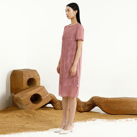 戴布拉芬连衣裙L27B579