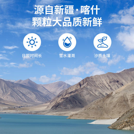 D疆果果烤核桃208g 商品图2