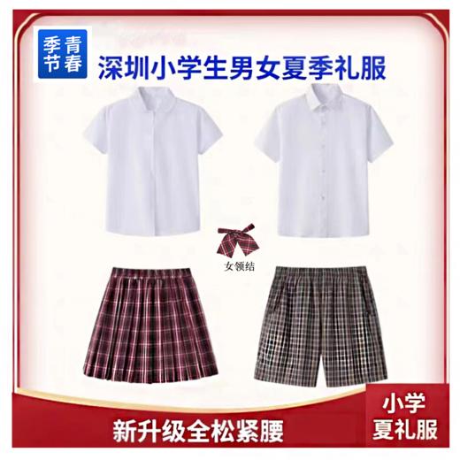 深圳校服/青春季节/小学夏季礼服男女款 商品图2