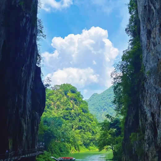 边玩边养老丨漫游黔西南，罗平万亩油菜花绚烂，奇秀万峰林，毕节百里杜鹃绘就绝美画卷！ 商品图7