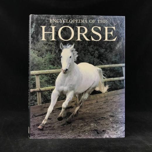 骏马百科全书 400余幅插图 精装16开 商品图0